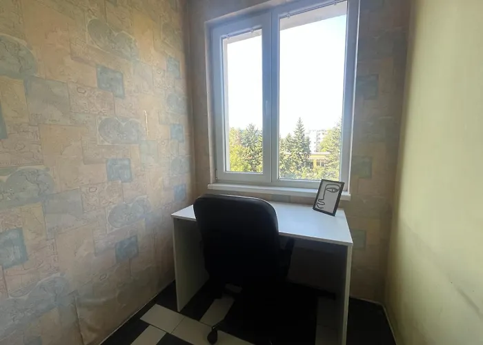 Einstein ソフィア